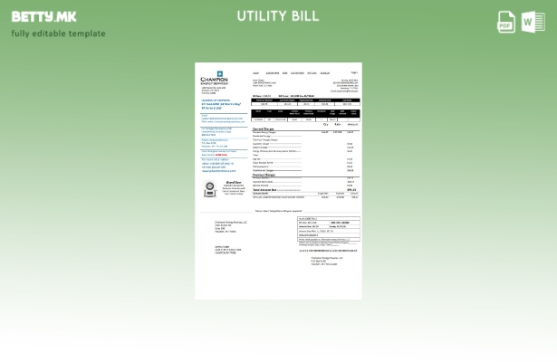 Модерен стил на USA Texas Champion Energy Services шаблон за доказ за адреса за 